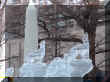 wolf.jpg (90724 bytes)